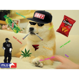 [DFS] MLG Doge [DK]'s in game spray