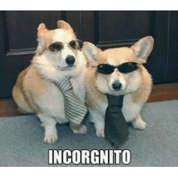 Incorgnito's in game spray