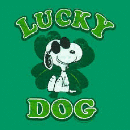 Mr.LuckyDog#Unlucky's in game spray