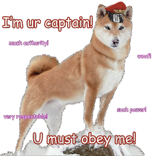 [DFS] Captain Chaos The Doge's in game spray