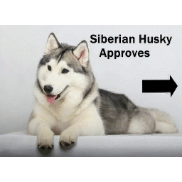 Siberian Husky's in game spray