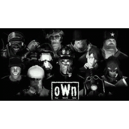 O.W.N's in game spray